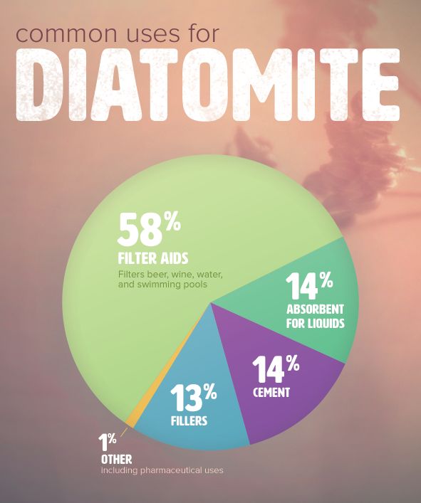 It is a popular way to kill bugs. What is Diatomaceous Earth?