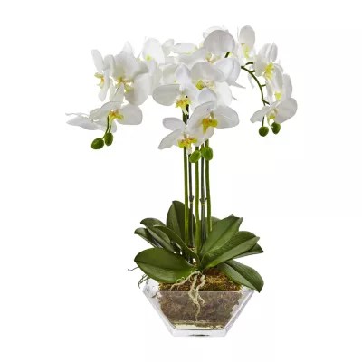 Our specialties include custom sympathy designs, weddings, and outstanding arrangements for all occasions and events. Nearly Natural Triple Phalaenopsis Orchid In Glass Vase Artificial Flowers Color White Jcpenney