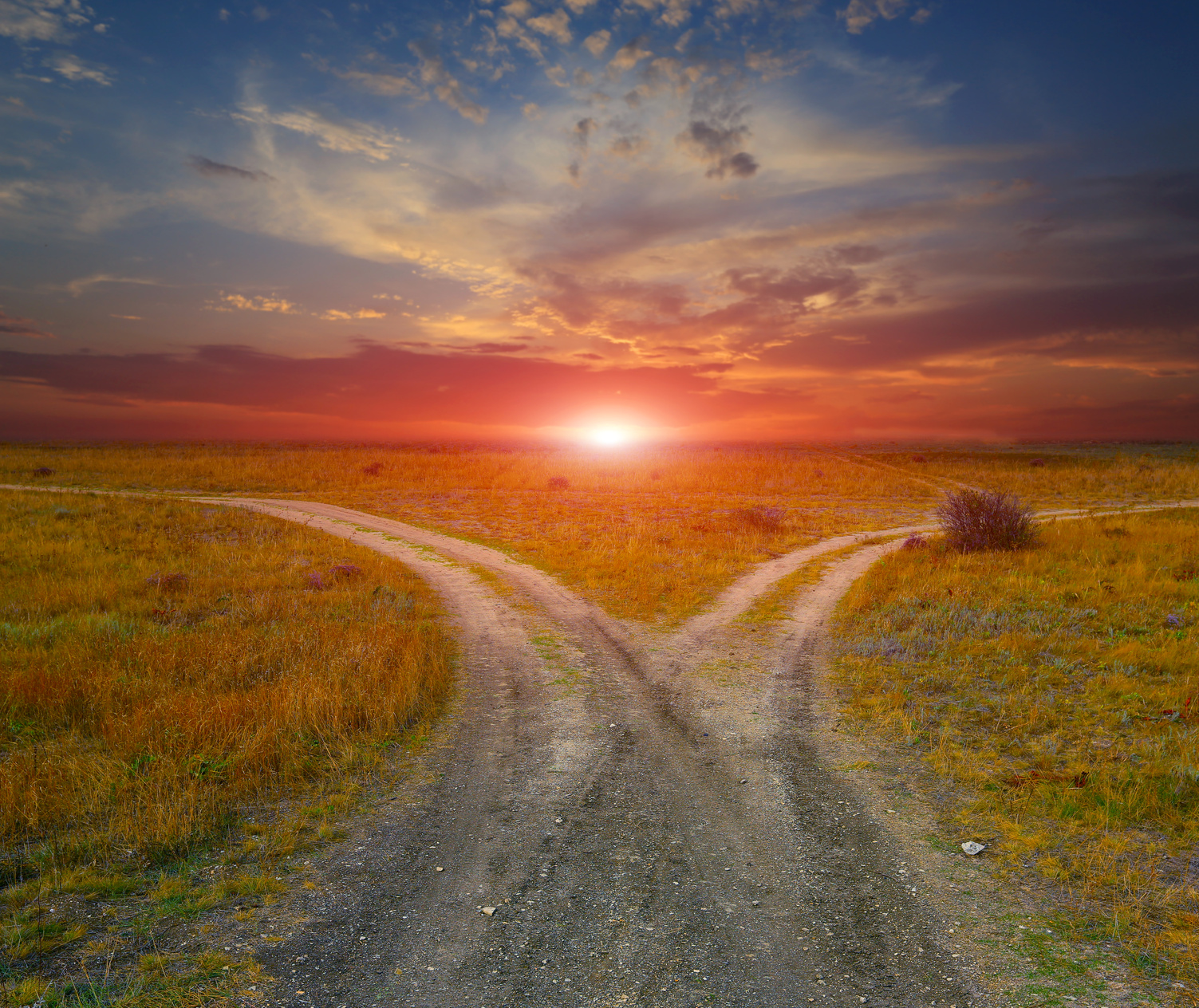 Map gstin to corporate accounts through cinb: The Way Forward: Safety Culture Improvements