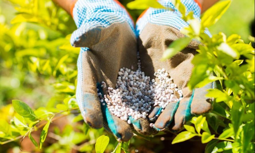 الحرب وارتفاع أسعار الغاز يدفعان أسعار الأسمدة إلى الصعود
