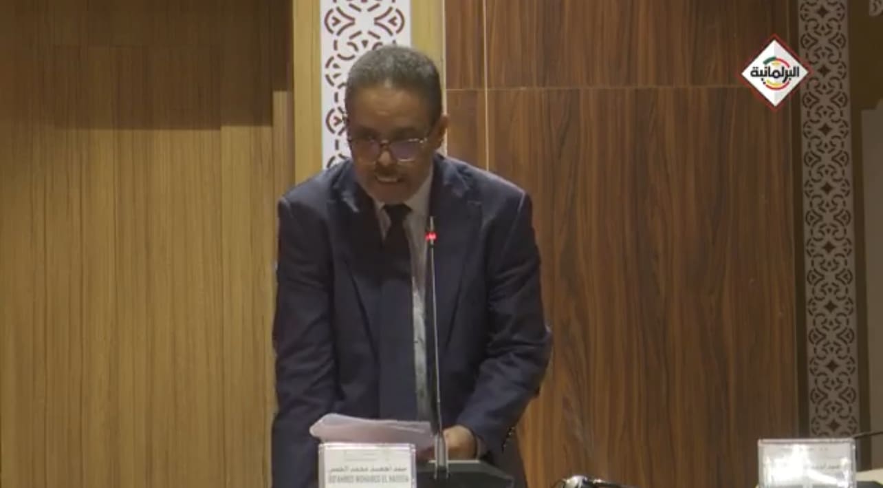 برلماني: السوق يعج بالأجانب ويستحوذون على فرص عمل الموريتانيين