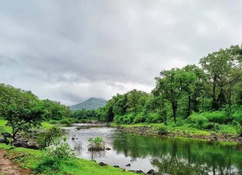 After public outcry, Bangalore University trims proposal to chop 420 trees, ETEducation After public outcry, Bangalore University trims proposal to chop 420 trees, ETEducation