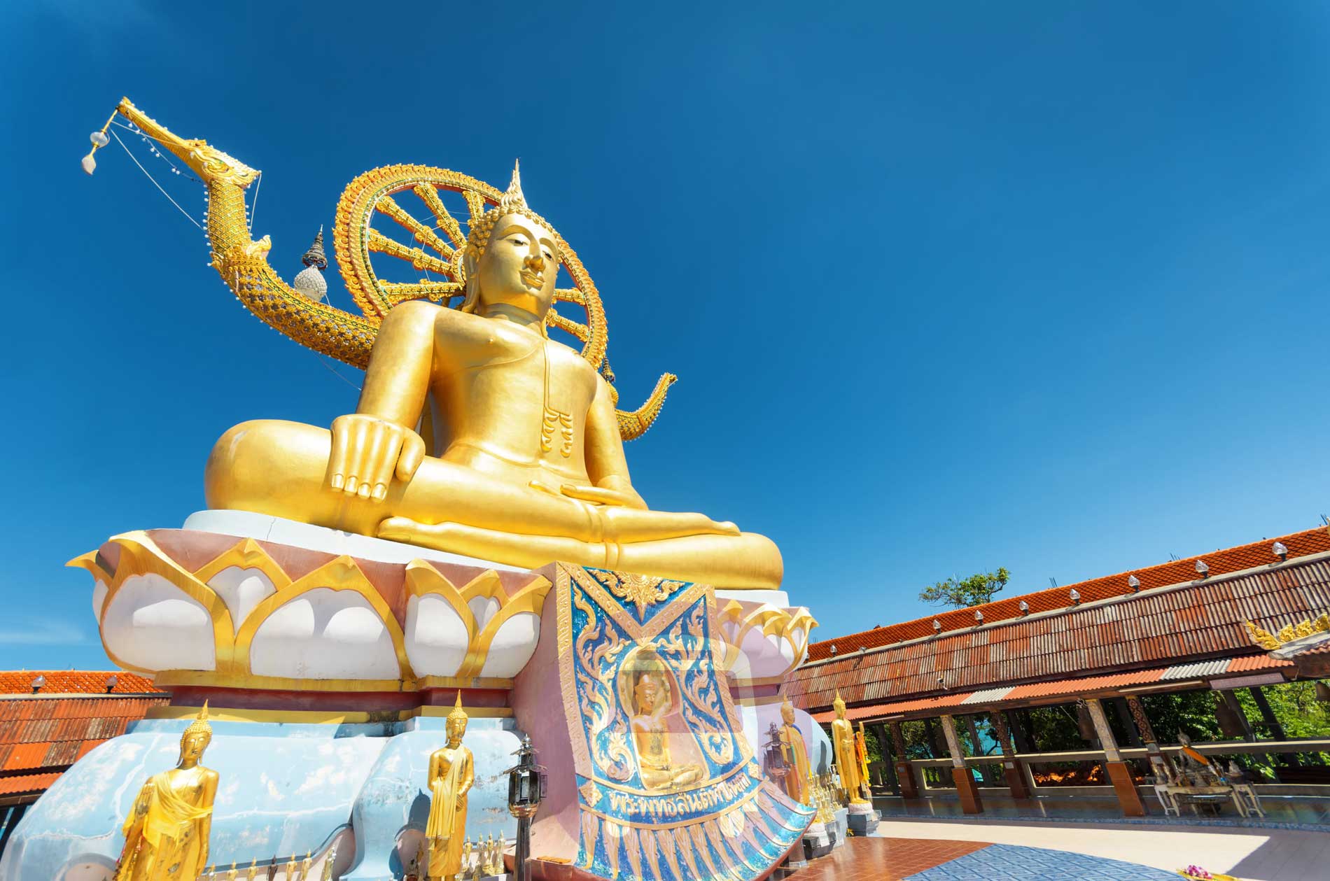 Горящие туры на самуи из екатеринбурга недорого! Koh Samui Half Day Island Tour Around The Koh Samui With All Highlights