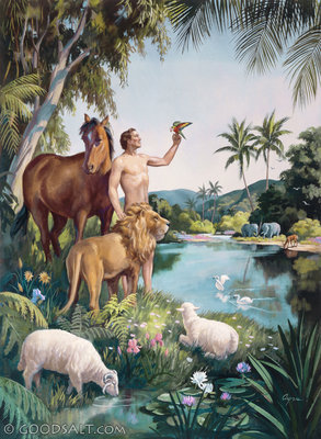 Pertama langit, air, dan kemudian area kering.pada hari keempat, kelima, dan keenam, . Allah Memberkati Hari Ketujuh Sang Sabda