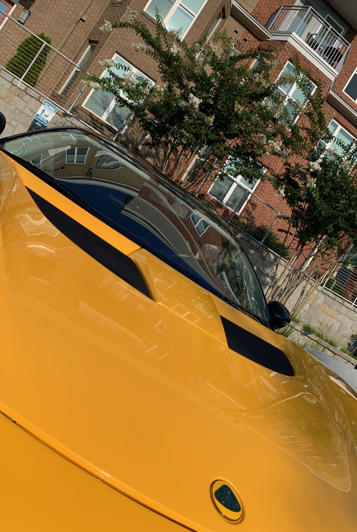 CaffeineExotics_04