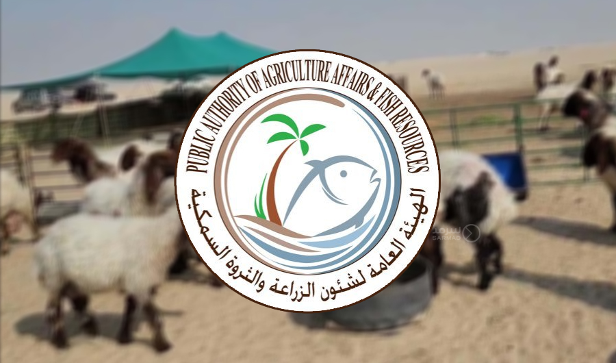 شهادة &laquo;حُسن سير وسلوك&raquo;.. شرط الحصول على &laquo;ترخيص الرعي&raquo;