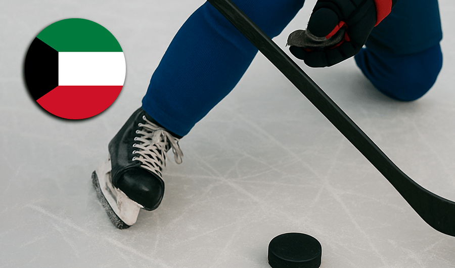 &laquo;الألعاب الشتوية&raquo;: تقدمنا بطلب استضافة كأس العالم لهوكي الجليد
