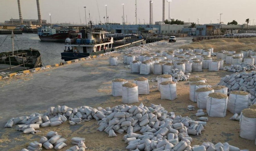 &laquo;الجمارك&raquo;: إحباط تهريب 10 كيلو شبو داخل أعلاف بميناء الدوحة