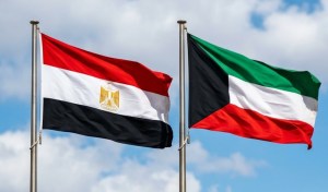«الإعلام المصرية»: الكويت أبلغتنا بإحالة فؤاد الهاشم «صاحب المقال المسيء» إلى النيابة العامة