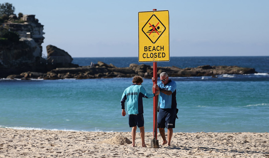 إصابة امرأة بجروح خطيرة جراء هجوم لسمكة قرش على أحد شواطئ سيدني