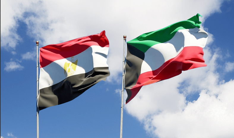 وزير الخارجية يستعرض هاتفياً مع نظيره المصري التطورات الإقليمية