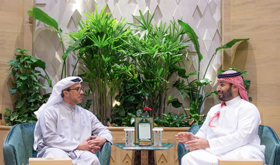 ولي العهد السعودي يبحث مع نائب الرئيس الإماراتي العلاقات الأخوية بين البلدين