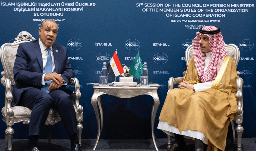 وزيرا خارجية مصر والسعودية يبحثان العلاقات الثنائية وتطورات الأوضاع الإقليمية