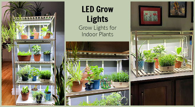 growers supply company grow lights