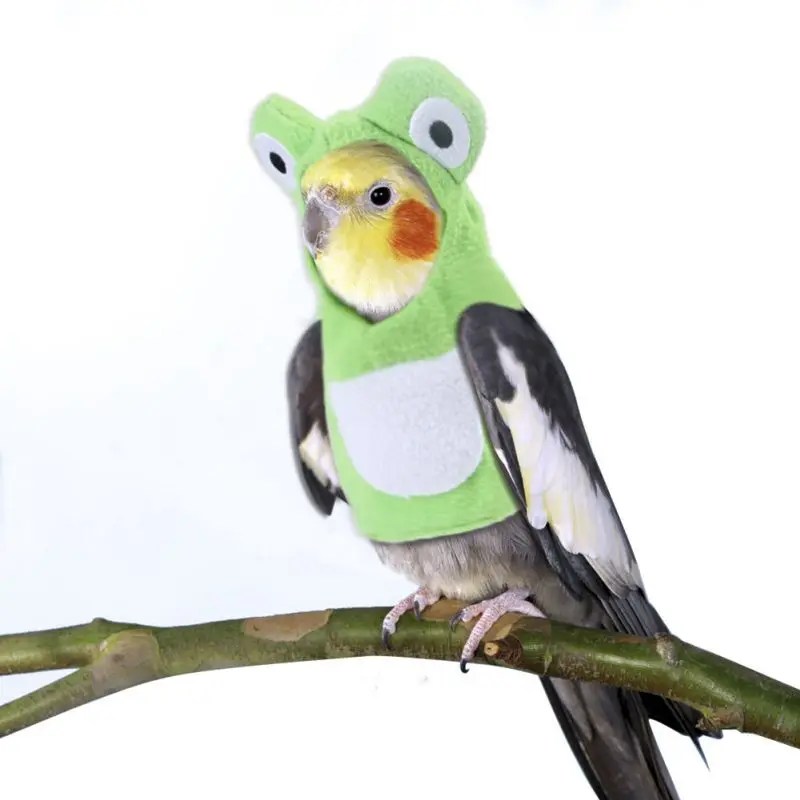 Pakaian Burung Peliharaan Buatan Tangan Pakaian Burung Beo Kustom,Berubah Burung Lucu - Buy Parrot Pakaian,Burung Pakaian,Burung Pet Pakaian Product On Alibaba.com 800_X_800_jpg