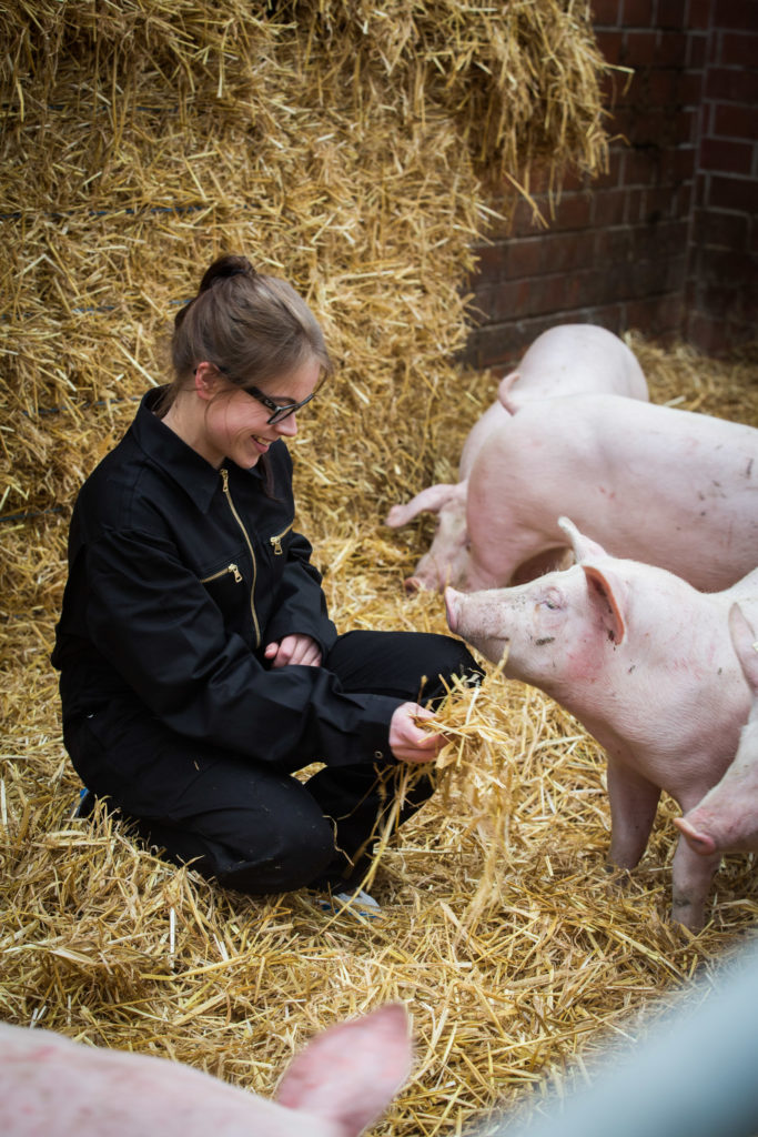 In unsere warteliste auf und informieren, sobald eine passende box frei wird. Backstage: Wo gutes Fleisch herkommt | schmecktwohl