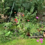 Rasen-Mischbeet mit Totholzrand.