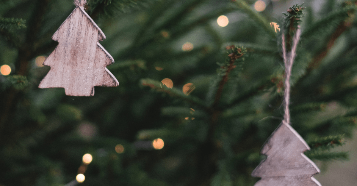 Find out how much you should pay for a christmas and how to check it good enough for your home. Christmas Tree Research Centre | Science Atlantic