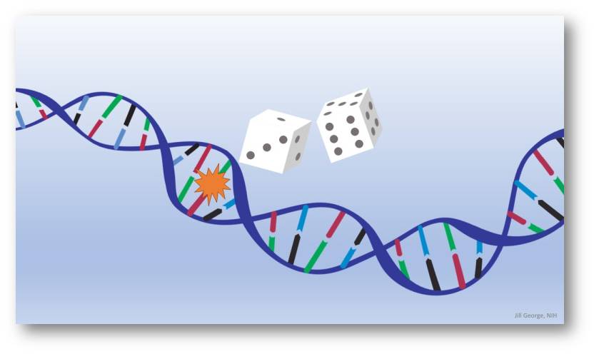 Webget started for free continue. Pech gehabt - zufÃ¤llige Mutationen spielen eine Hauptrolle in der