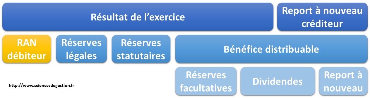 Affectation Du Résultat En Compte Courant D'associé