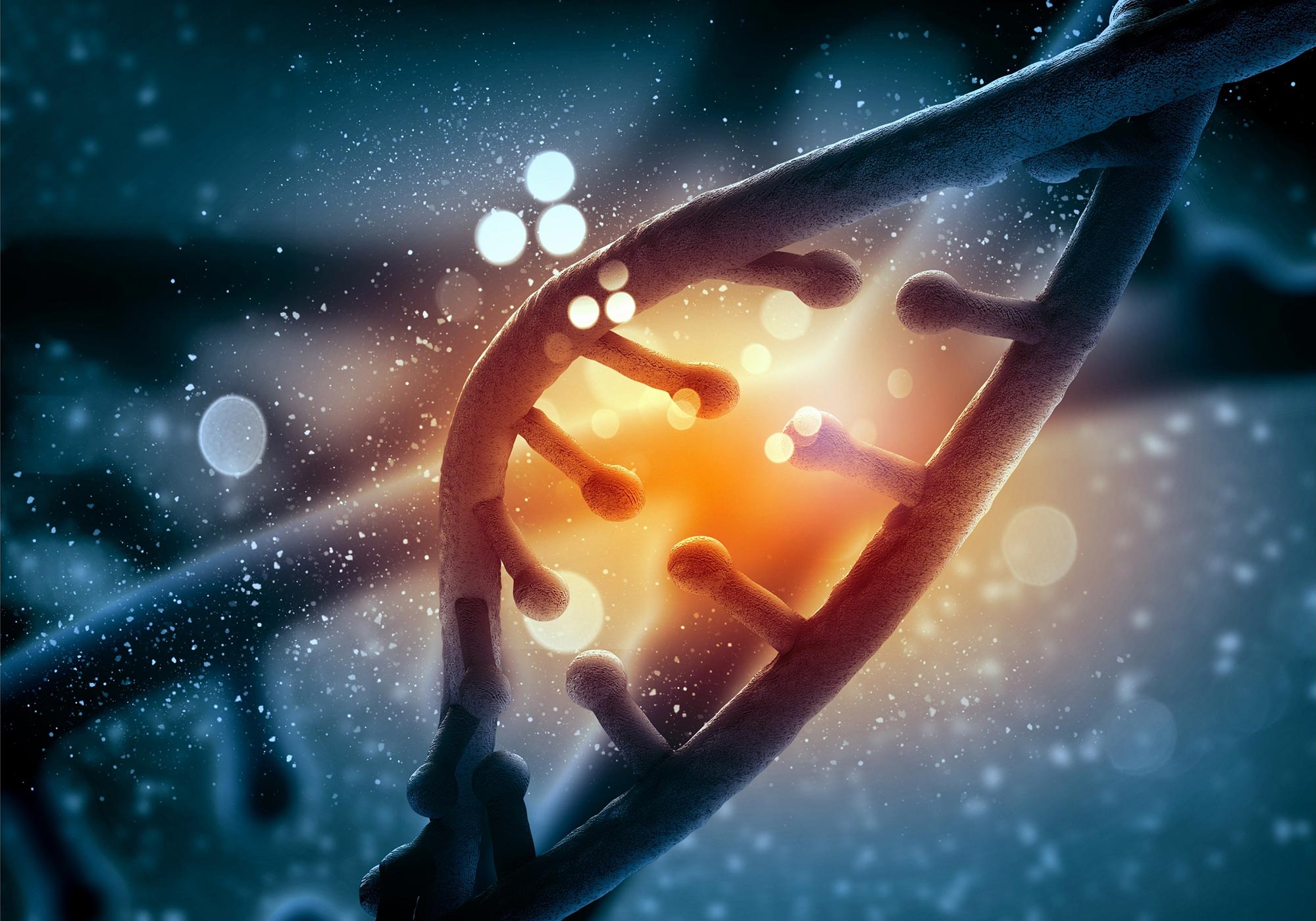 Newly Discovered Cluster of Genes Increases Longevity Newly Discovered Cluster of Genes Increases Longevity