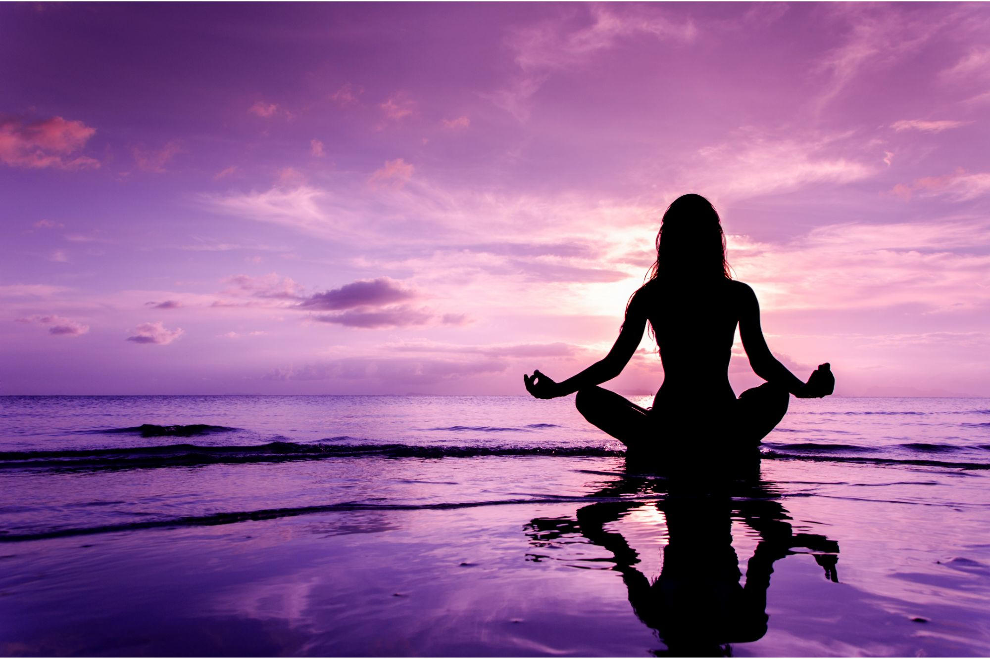 Deep Meditation May Alter Gut Microbes – And Improve Physical and Mental Health Deep Meditation May Alter Gut Microbes – And Improve Physical and Mental Health