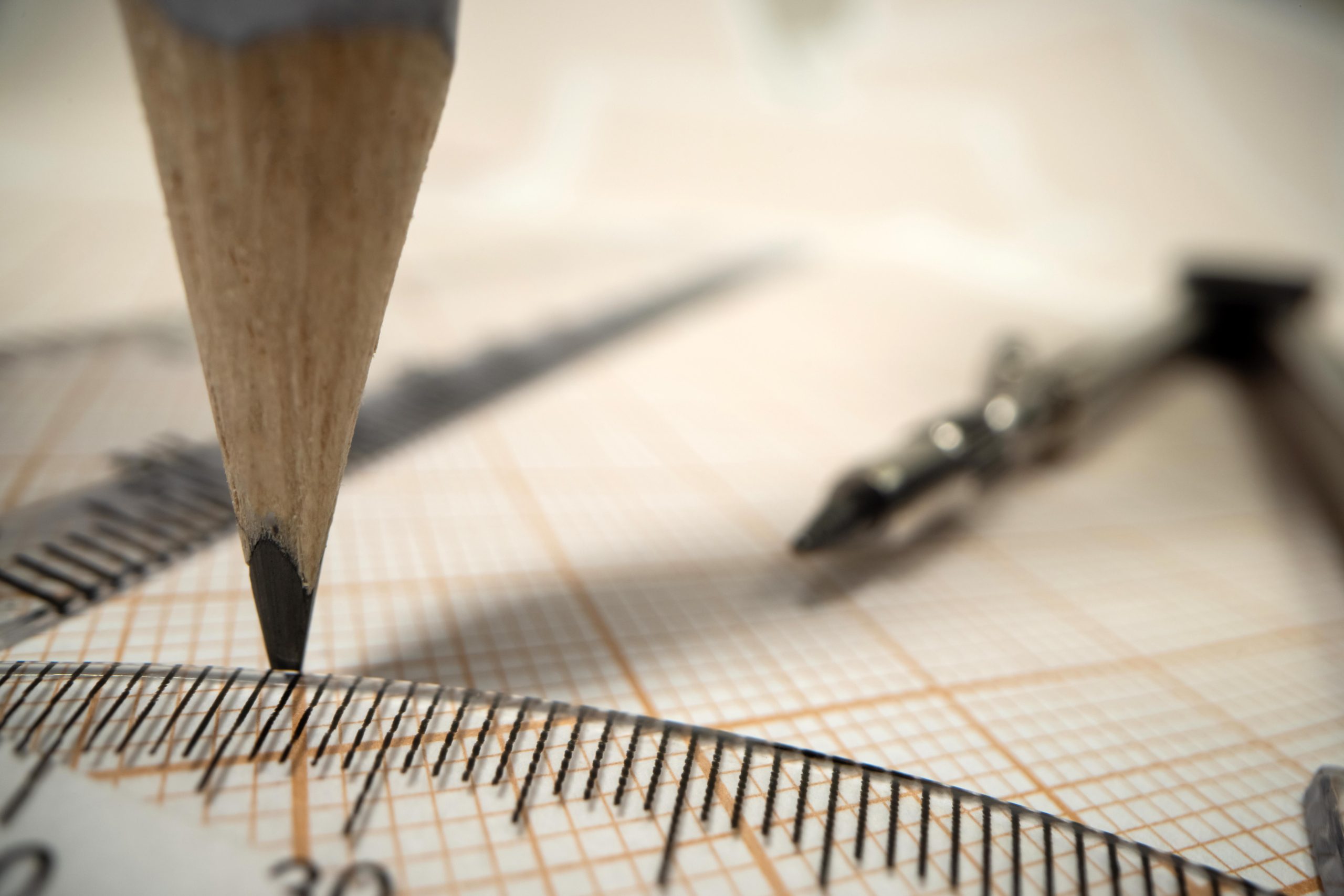 New Research Challenges the Idea That Geometry Is Uniquely Human