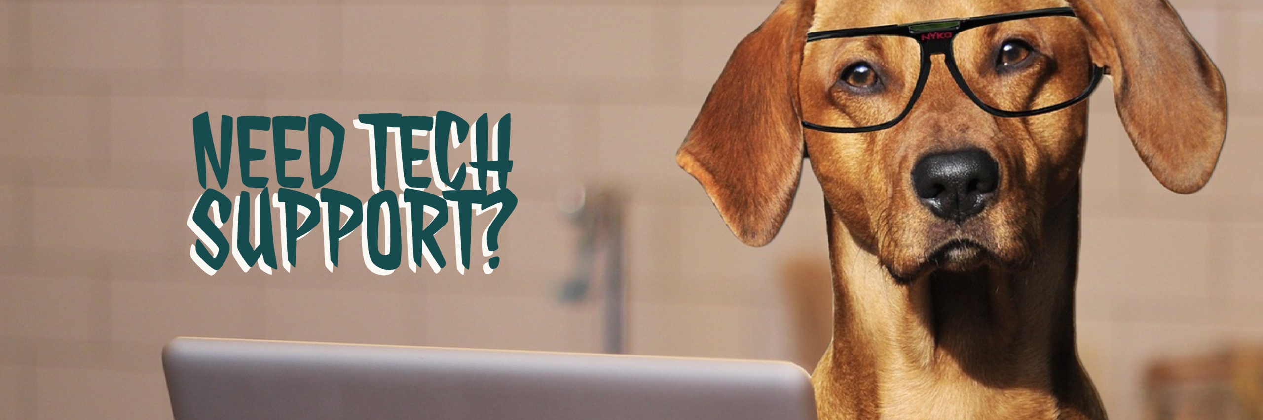 Need Tech Support Dog