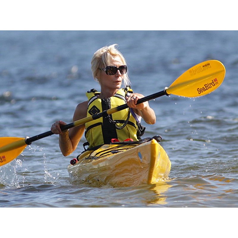 You're more likely to get wet . Expedition Lv Seabirddesign