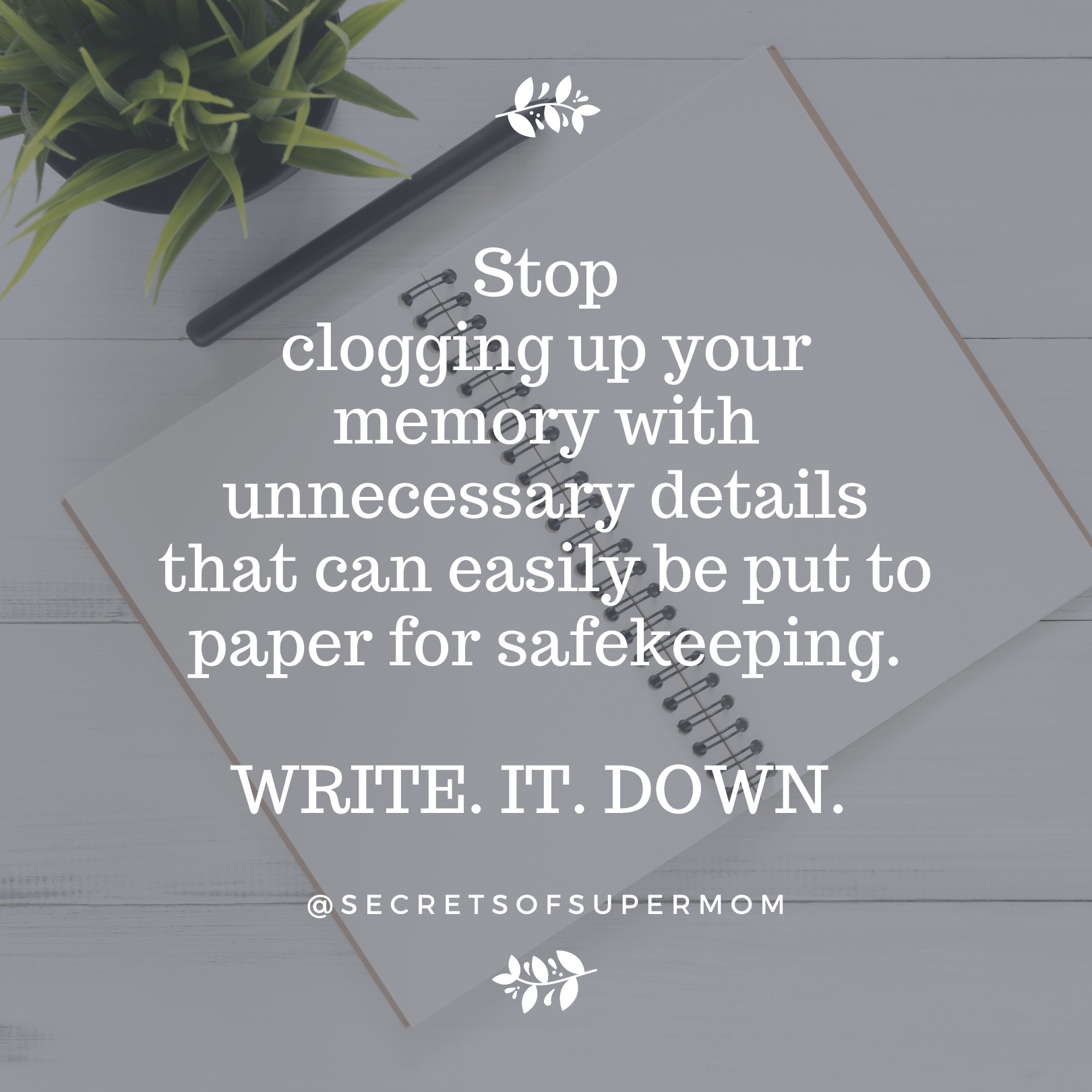 Supermom Quotes from the book Secrets of Supermom