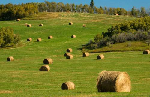 Image result for 投资农场需 HST