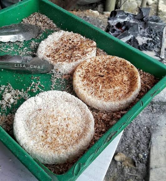 6 Kuliner dan Makanan Khas Kotabaru Kalimantan Selatan - Sering Jalan