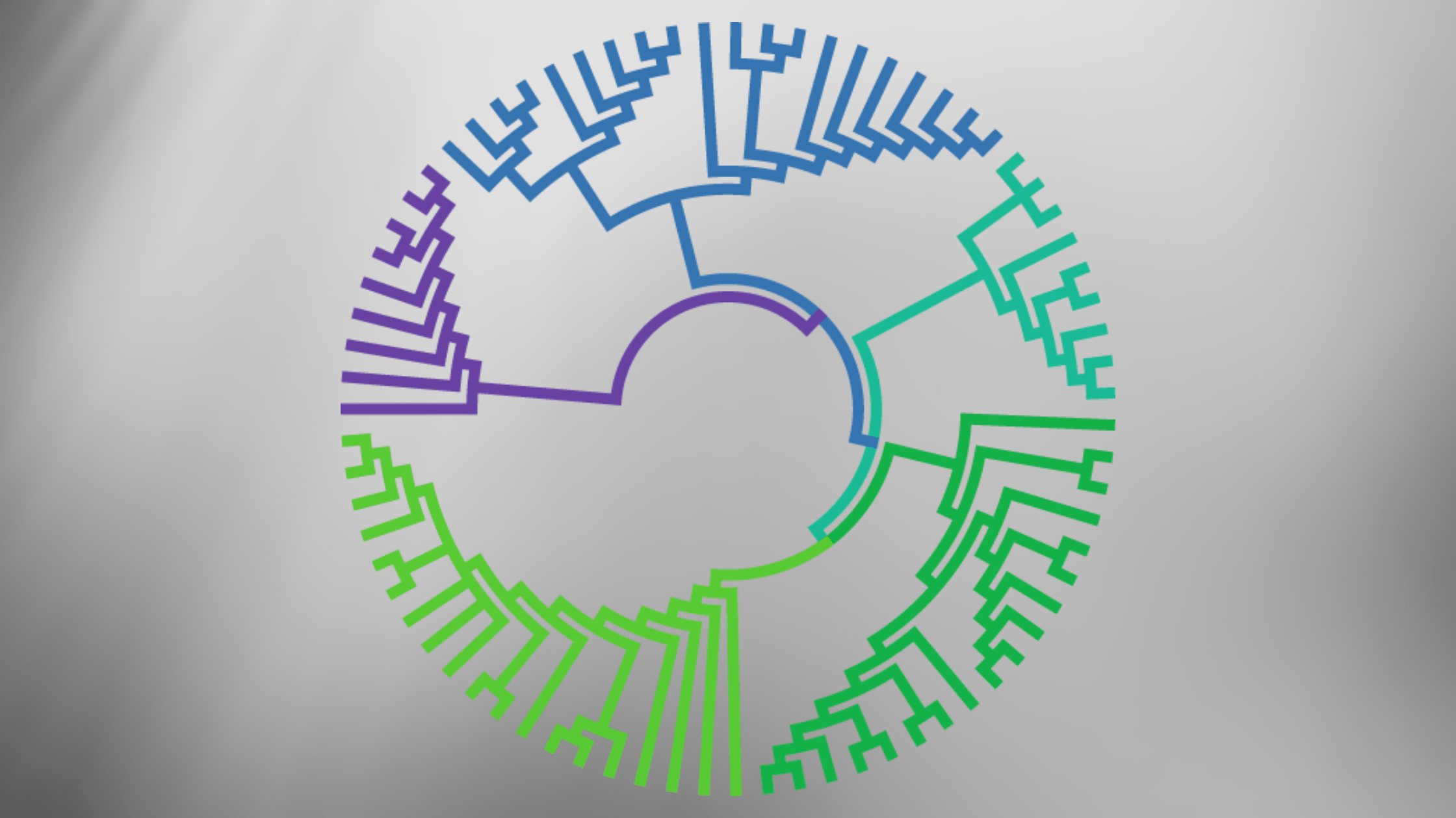 On the origin of species tree of life phylogenetic tree evolution biology,. Fighting Evolution The Stability Challenge In Synthetic Biology Seva Plasmids Standard European Vector Architecture