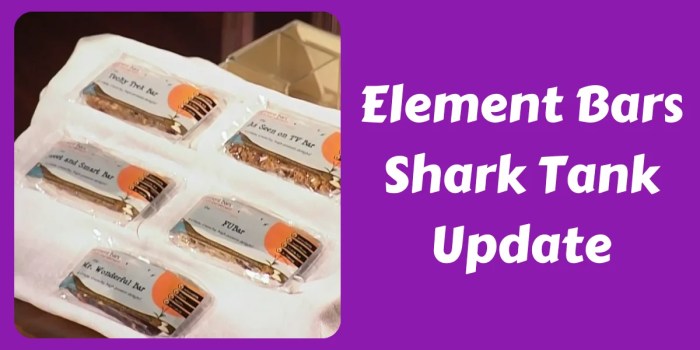 Element Bars Shark Tank Update (Season 1) In 2024 Element bars shark tank net worth