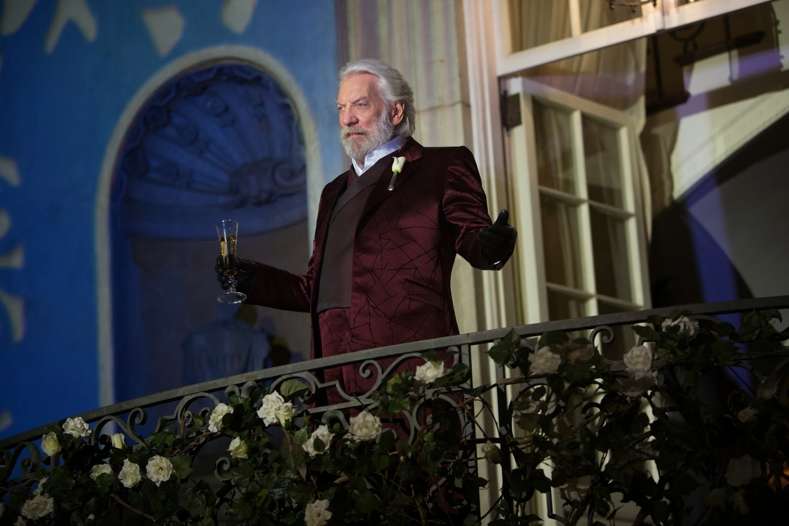 Movie Review Rant : Catching Fire (2013)