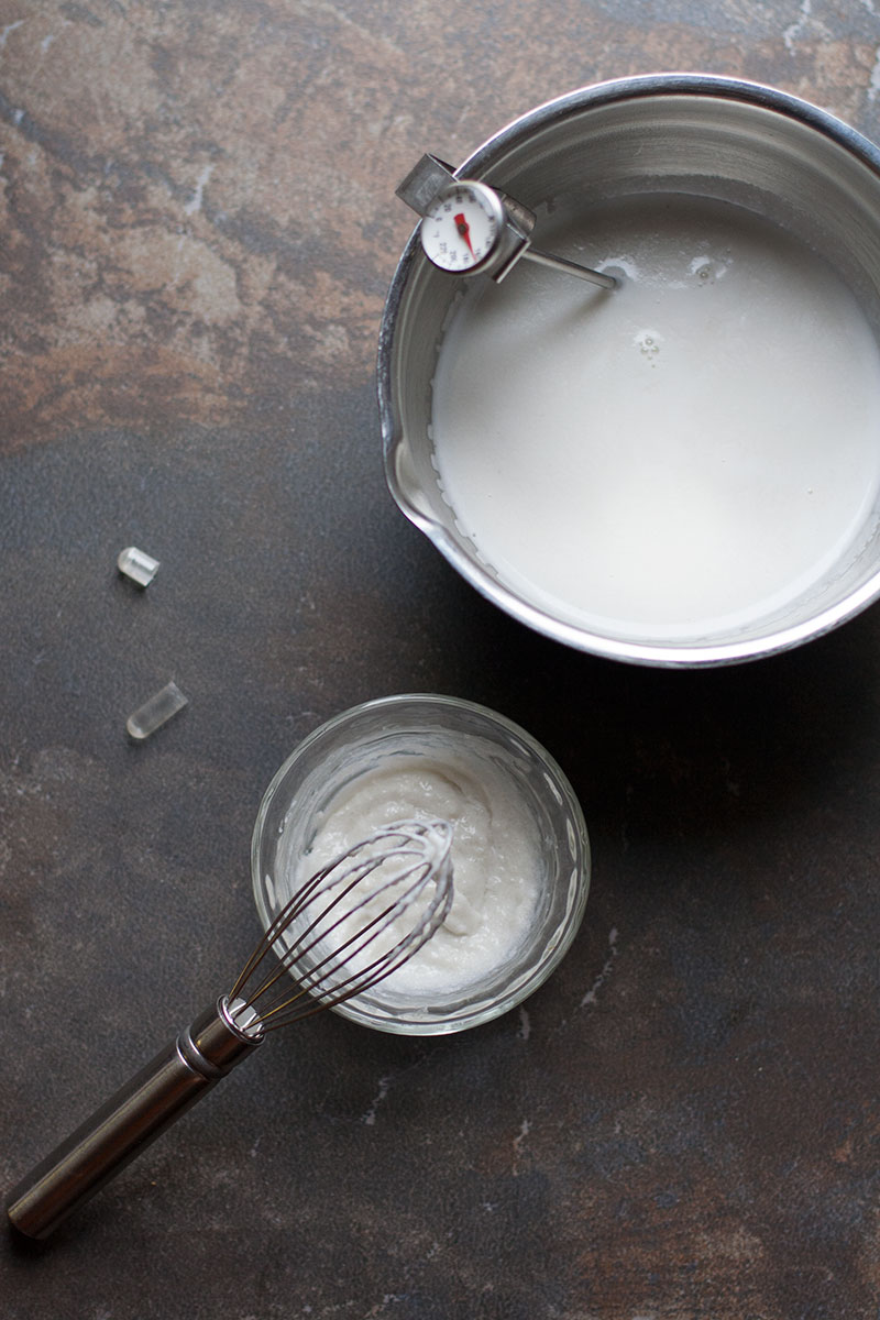 How to Make Coconut Yogurt Sheena Scott, Culinary Nutrition Expert