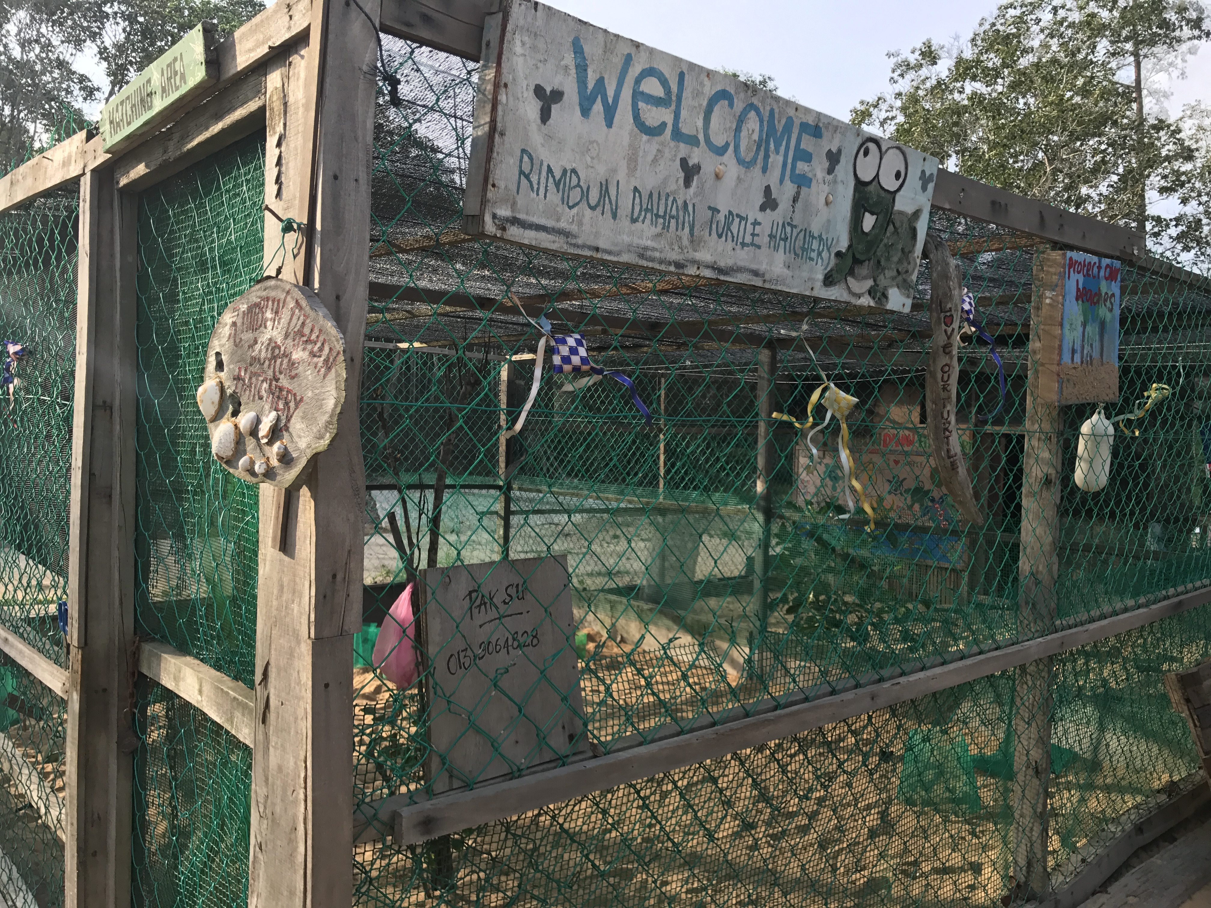 Rimbun Dahan Turtle Sanctuary
