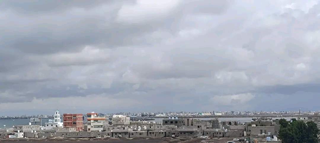 الطقس المتوقع خلال الـ 24 ساعة القادمة بمشيئة الله تعالى الطقس المتوقع خلال الـ 24 ساعة القادمة بمشيئة الله تعالى