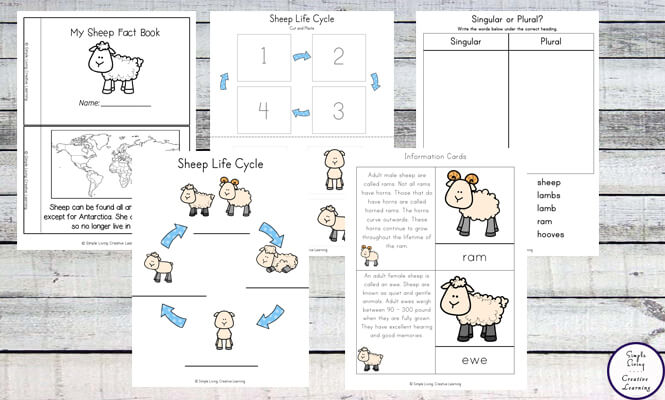 See more ideas about safety crafts, community helpers theme, community helpers preschool. Sheep Life Cycle Printable Pack Simple Living Creative Learning