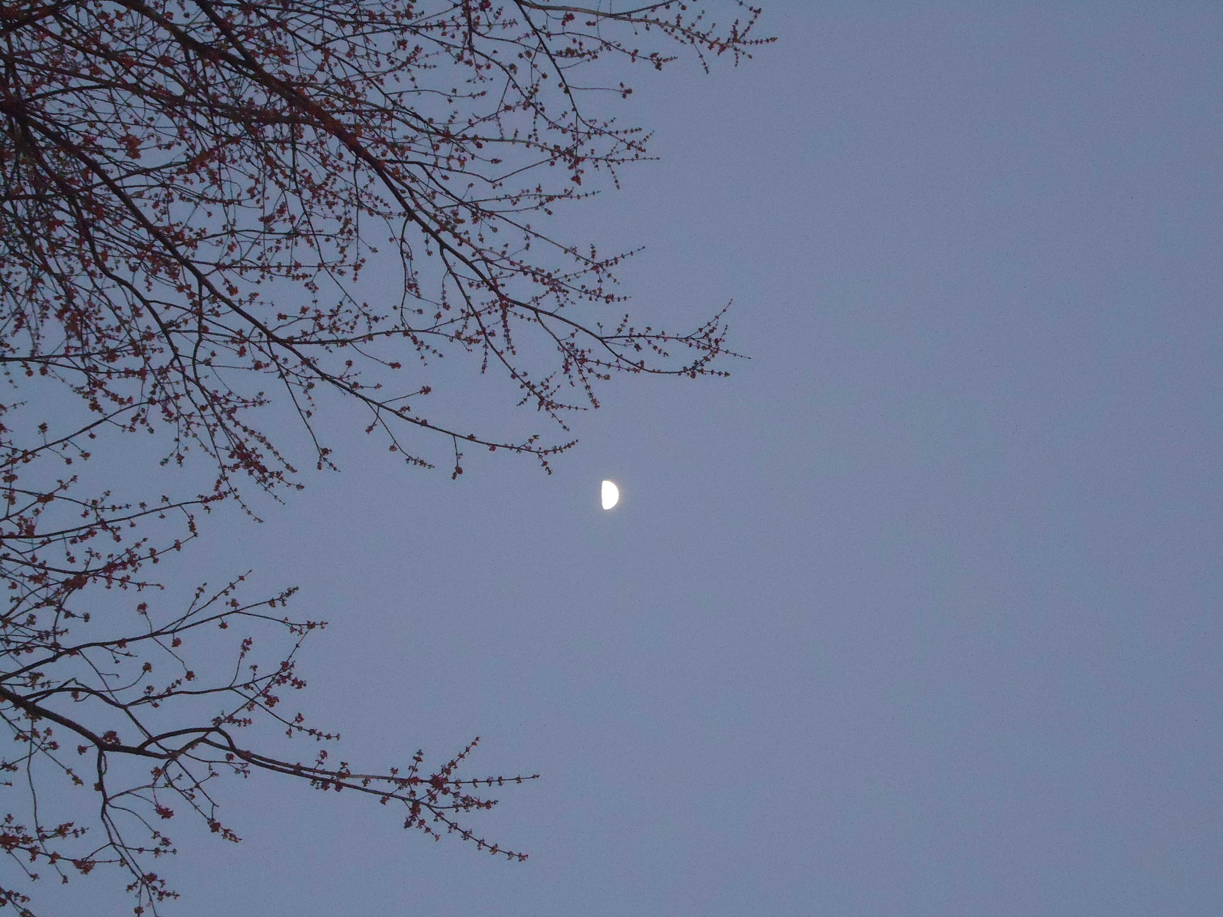 These missing family quotes & quotes about missing family will have. Quotes For Family Far Away Simplysage