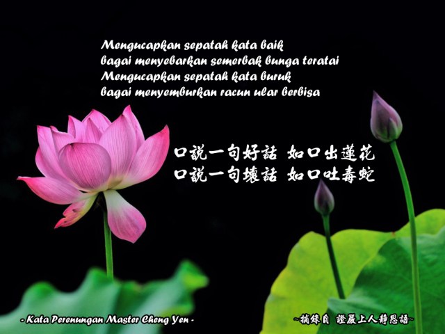 Hiduplah seperti bunga sakura, meskipun hidup sebentar namun dapat . Kata Perenungan Master Cheng Yen Kumpulan Ajaran Sang Buddha Untuk Mencapai Kebahagiaan