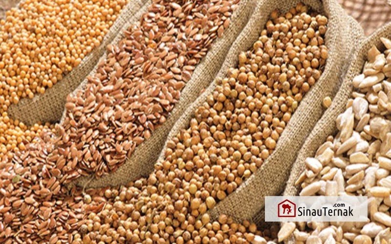 Macam Bahan Pakan Ternak Sumber Energi, Protein dan Vitamin
