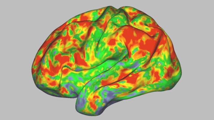 Research Reveals What Psilocybin Does to the Mind—and for How Lengthy