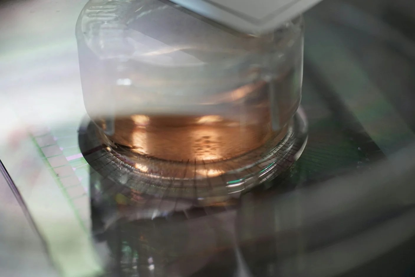 How Scientists Are Growing Computers From Human Brain Cells—and Why They Want to Keep Doing It