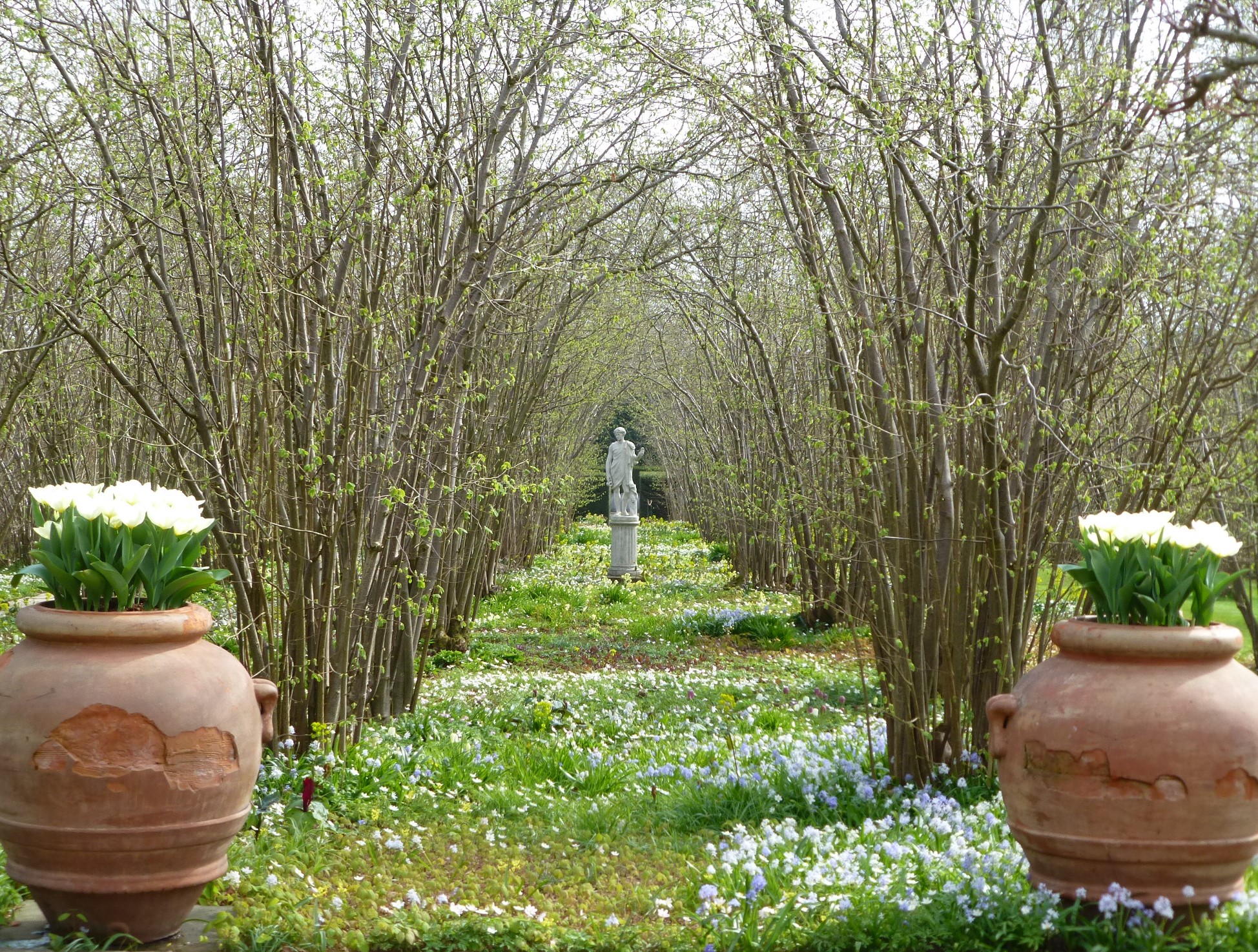 Sissinghurst Spring The History of the Nuttery | SISSINGHURST GARDEN