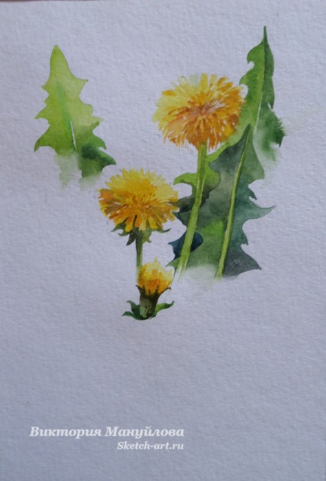 как рисовать одуванчик красками
