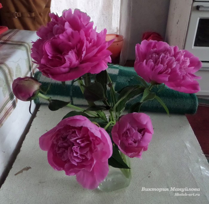 нарисовать листья пиона