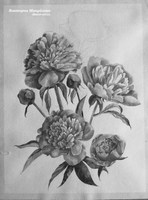 рисуем пионы в вазе