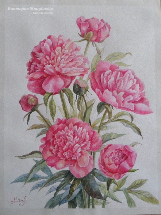 рисуем пионы в вазе