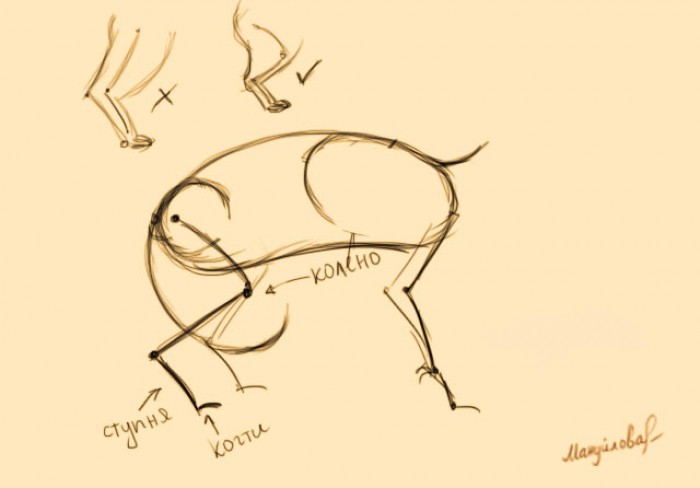 как нарисовать силуэт кошки